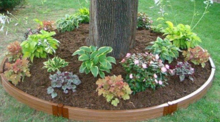 decorer-arbre-jardin